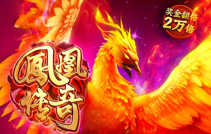 ng体育官网入口